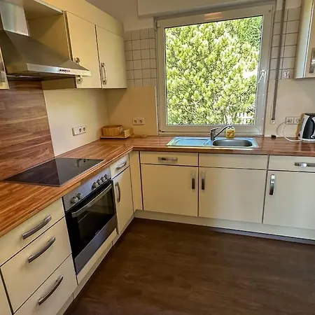 Benedenappartement In Met Uitzicht En Balkon Apartment Winterberg